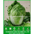 NCC04 Xiaohu little chinese cabbage,pak choi seeds,cabbage types